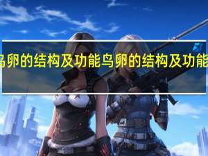 鸟卵的结构及功能 鸟卵的结构及功能是什么