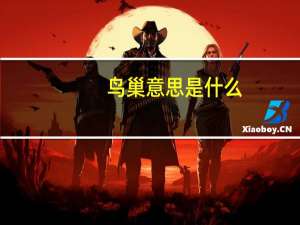 鸟巢意思是什么