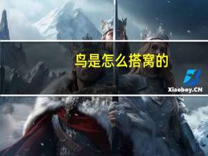 鸟是怎么搭窝的