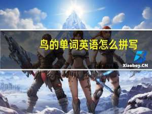 鸟的单词英语怎么拼写