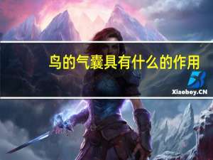 鸟的气囊具有什么的作用