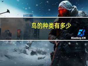 鸟的种类有多少