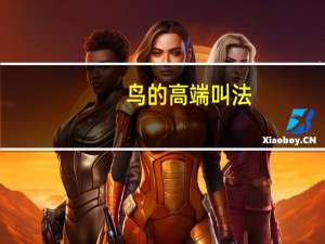 鸟的高端叫法
