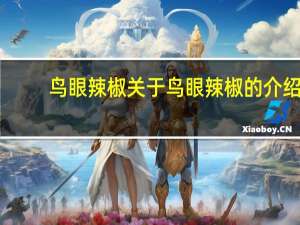 鸟眼辣椒 关于鸟眼辣椒的介绍