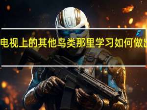 鸟类可以从电视上的其他鸟类那里学习如何做出更好的食物选择