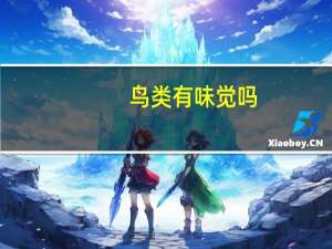 鸟类有味觉吗