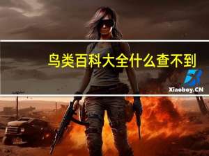 鸟类百科大全什么查不到（鸟类百科）
