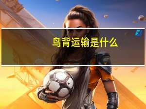 鸟背运输是什么