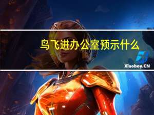 鸟飞进办公室预示什么