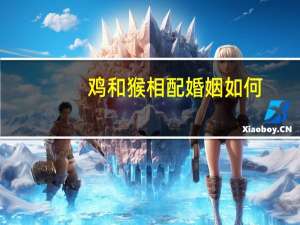 鸡和猴相配婚姻如何