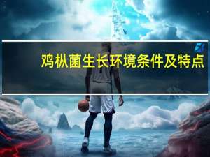 鸡枞菌生长环境条件及特点