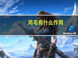 鸡毛有什么作用
