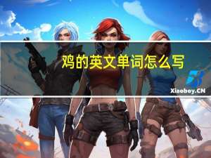 鸡的英文单词怎么写