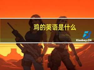 鸡的英语是什么