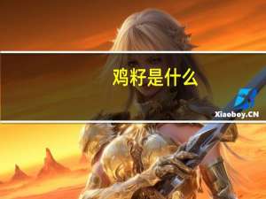 鸡籽是什么