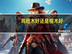 鸡翅木好还是檀木好