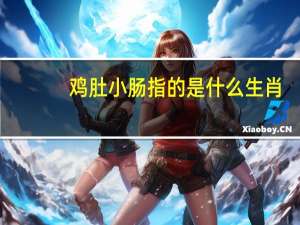 鸡肚小肠指的是什么生肖（小肚鸡肠是什么生肖）