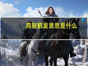 鸡肤鹤发意思是什么