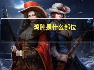 鸡肫是什么部位