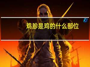 鸡胗是鸡的什么部位