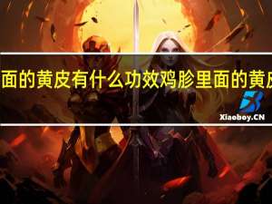 鸡胗里面的黄皮有什么功效 鸡胗里面的黄皮有哪些作用