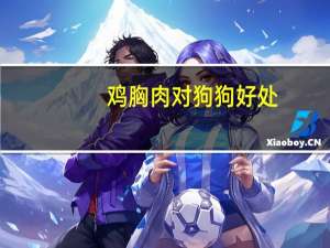 鸡胸肉对狗狗好处