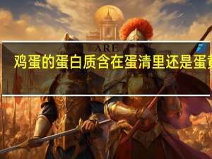 鸡蛋的蛋白质含在蛋清里还是蛋黄里
