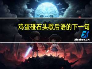 鸡蛋碰石头歇后语的下一句（鸡蛋碰石头）