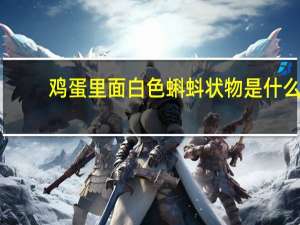 鸡蛋里面白色蝌蚪状物是什么