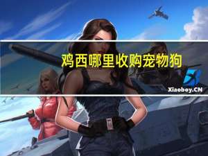 鸡西哪里收购宠物狗