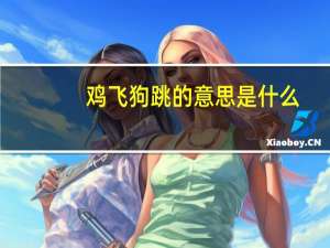 鸡飞狗跳的意思是什么