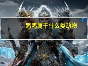 鸡鸭属于什么类动物