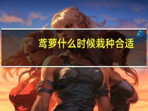 鸢萝什么时候栽种合适