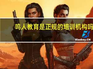 鸣人教育是正规的培训机构吗