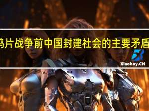 鸦片战争前中国封建社会的主要矛盾是什么