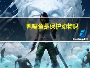 鸭嘴鱼是保护动物吗