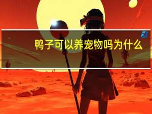 鸭子可以养宠物吗为什么