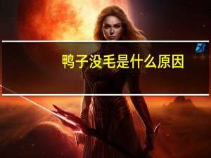 鸭子没毛是什么原因