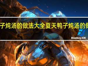 鸭子炖汤的做法大全夏天 鸭子炖汤的做法大全