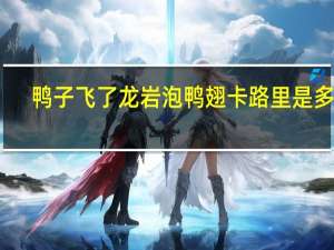 鸭子飞了 龙岩泡 鸭翅卡路里是多少