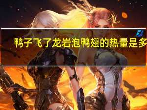 鸭子飞了 龙岩泡 鸭翅的热量是多少