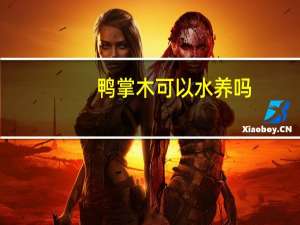 鸭掌木可以水养吗