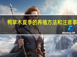 鸭掌木夏季的养殖方法和注意事项
