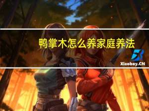 鸭掌木怎么养家庭养法