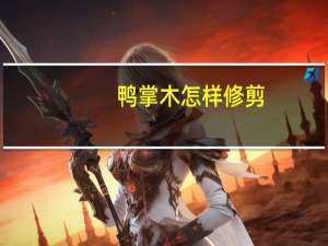 鸭掌木怎样修剪