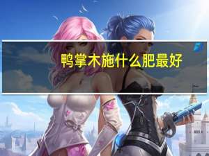 鸭掌木施什么肥最好