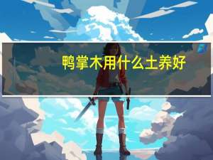 鸭掌木用什么土养好