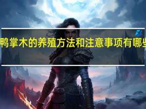 鸭掌木的养殖方法和注意事项有哪些视频