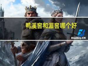 鸭溪窖和湄窖哪个好