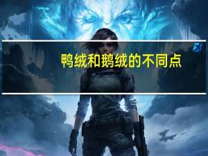 鸭绒和鹅绒的不同点